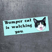 Bumper Cat Car Magnet