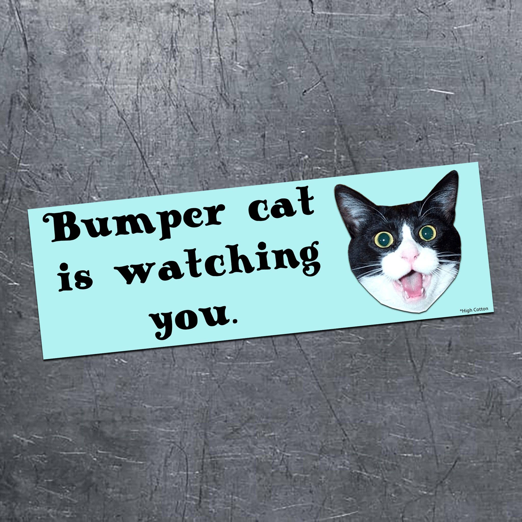 Bumper Cat Car Magnet