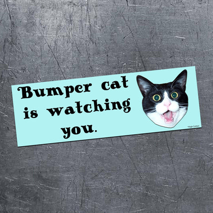 Bumper Cat Car Magnet