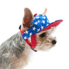 Patriotic American USA Star Pet Hat