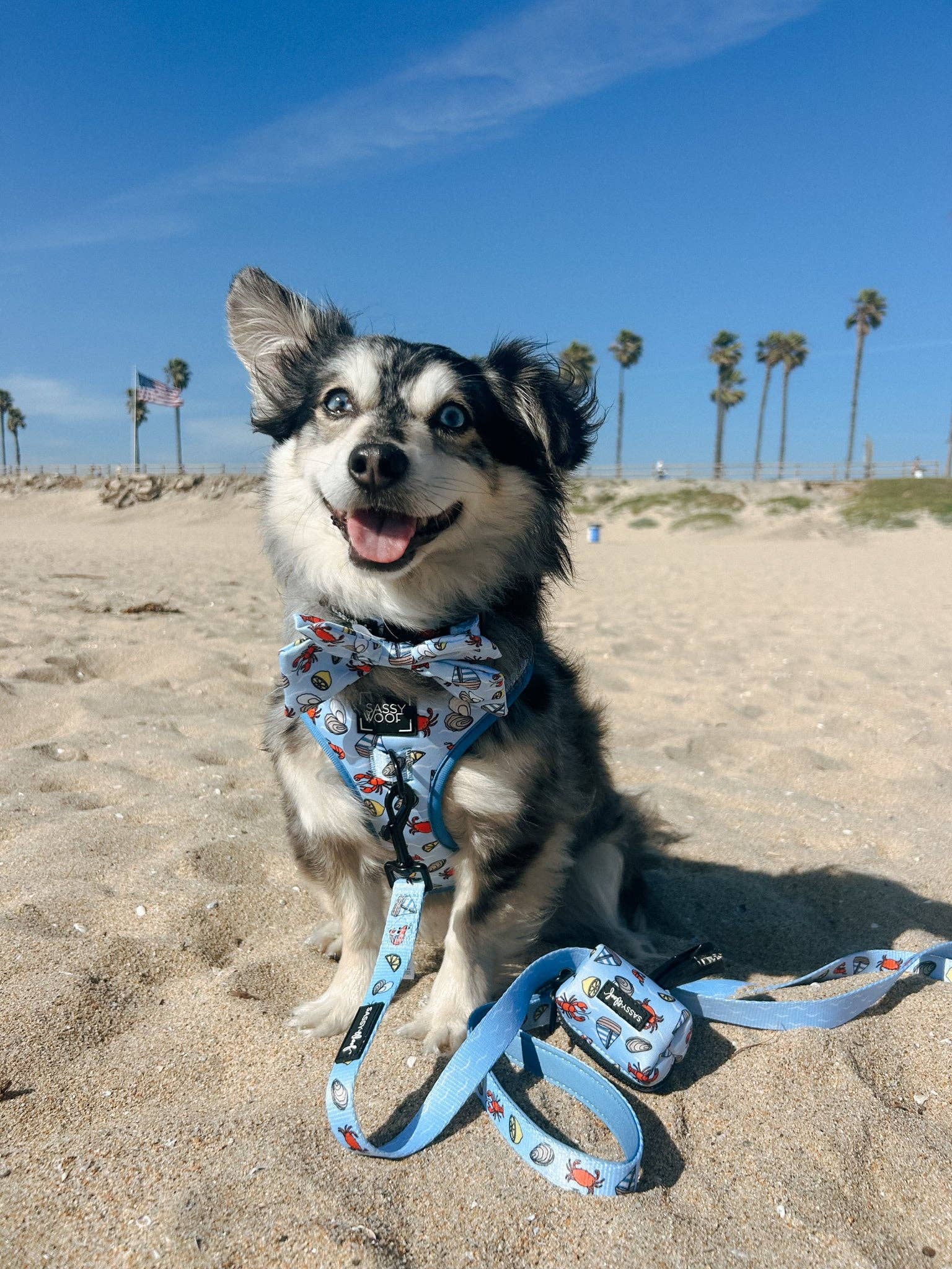 Dog Waste Bag Holder - Coastal Cuties