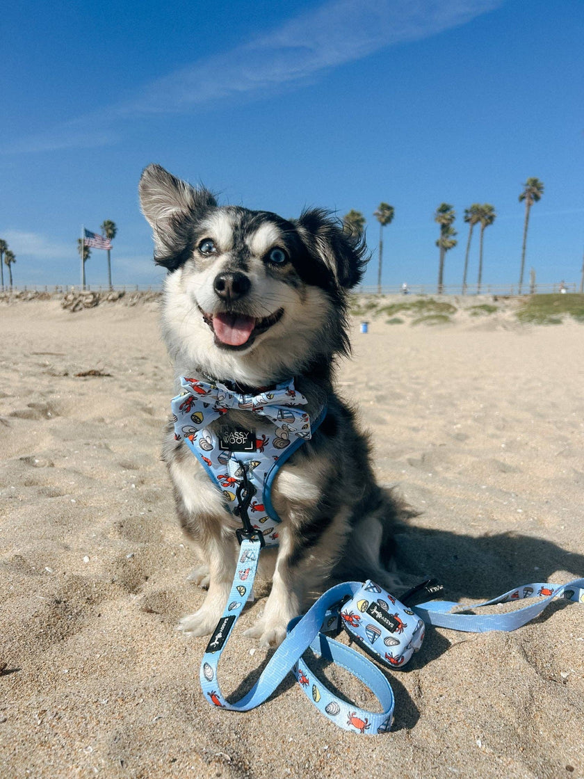 Dog Waste Bag Holder - Coastal Cuties