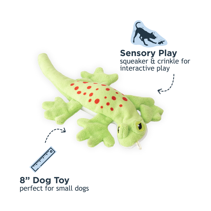 Dog Toy Lizard Stuffless Squeaker Toy