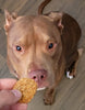 8oz Peanut Butter & Blueberry Soft Chewy Dog Treats