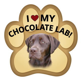 Show off your love for your favorite furry friend with our Choclate Labrador Retriever Paw Magnet! Perfect for your car trunk or any magnetic surface, this adorable paw-shaped magnet features a vibrant image of your favorite dog or cat breed. Made from durable, weather-resistant materials, it’s designed to withstand the elements while adding a touch of personality to your vehicle or home. 