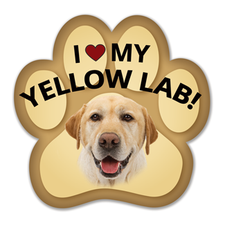 Show off your love for your favorite furry friend with our Yellow Labrador Retriever Paw Magnet! Perfect for your car trunk or any magnetic surface, this adorable paw-shaped magnet features a vibrant image of your favorite dog or cat breed. Made from durable, weather-resistant materials, it’s designed to withstand the elements while adding a touch of personality to your vehicle or home. 