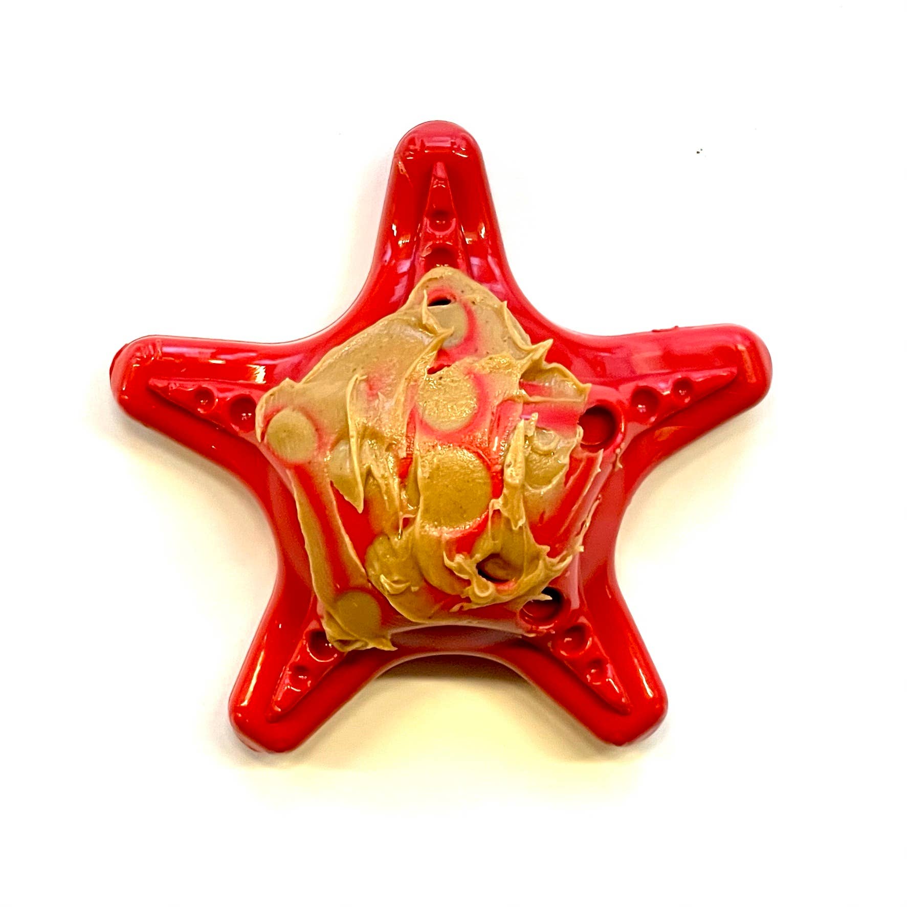 SP Starfish Ultra Durable Nylon Dog Chew Toy for Aggressive Chewers