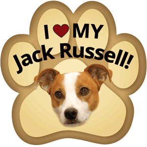 Show off your love for your favorite furry friend with our Jack Russell Paw Magnet! Perfect for your car trunk or any magnetic surface, this adorable paw-shaped magnet features a vibrant image of your favorite dog or cat breed. Made from durable, weather-resistant materials, it’s designed to withstand the elements while adding a touch of personality to your vehicle or home. 