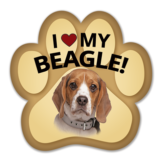 Show off your love for your favorite furry friend with our Beagle Paw Magnet! Perfect for your car trunk or any magnetic surface, this adorable paw-shaped magnet features a vibrant image of your favorite dog or cat breed. Made from durable, weather-resistant materials, it’s designed to withstand the elements while adding a touch of personality to your vehicle or home. 