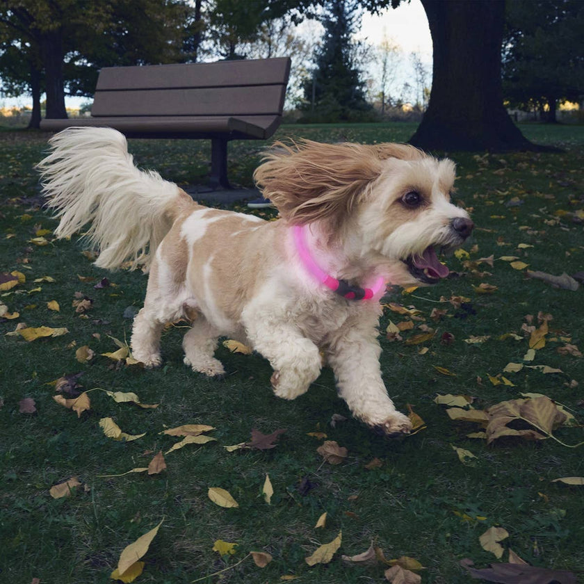 Nite Ize NiteHowl® Rechargeable LED Safety Necklace - Pink