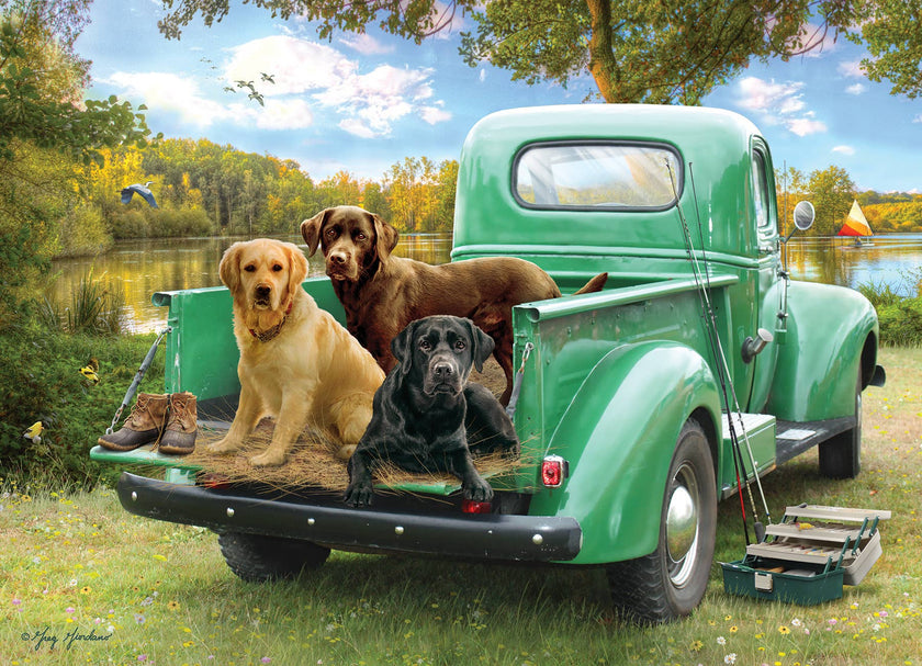 Let's Go Fishing 500pc puzzle