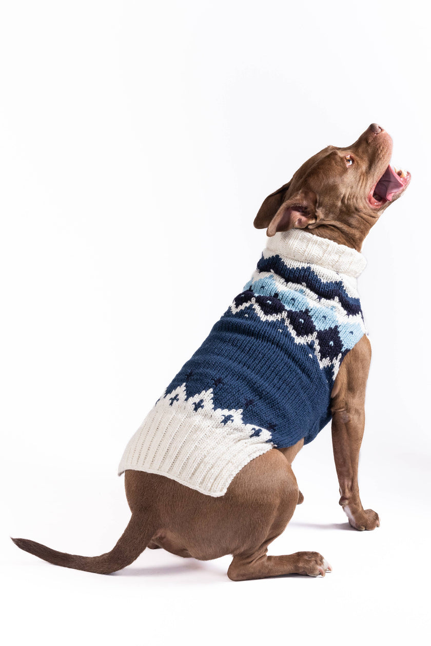 Midnight Ski Bum Dog Pet Sweater