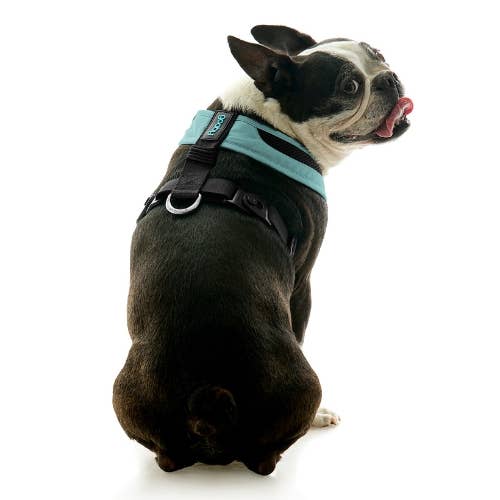 Escape Free Comfort X One Dog Harness