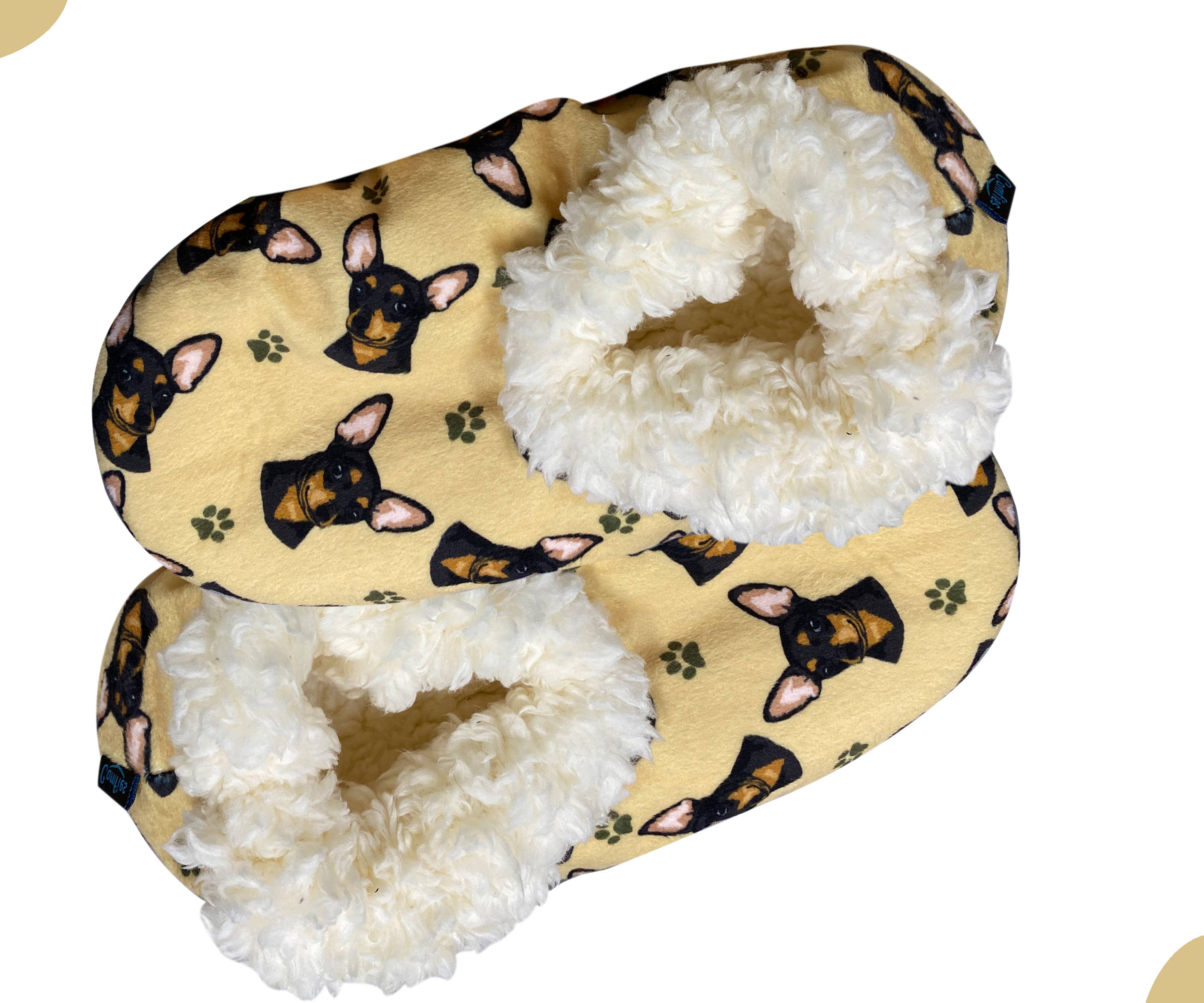 Chihuahua, Black Slippers