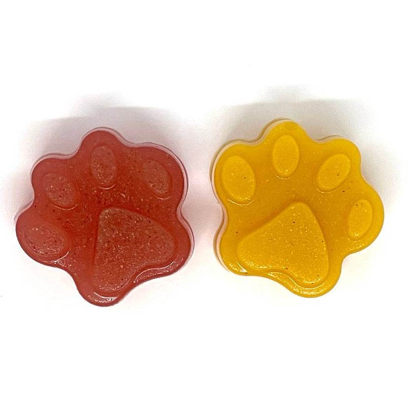 SP Dogtastic Jelly Shots Silicone Mold - Paw Shape