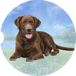 Labrador, Chocolate Car Coaster