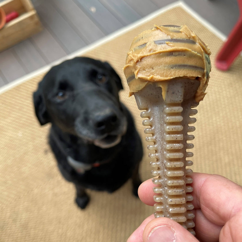 Dog Toy SP Honey Bone Dental Tower Ultra Durable Nylon Dog Chew Toy