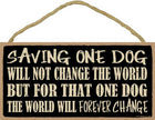 Saving one dog will not change the world but for that one do