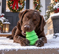 Christmas Tree Dog Toy Durable Rubber Chew Toy