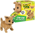 Westminster Chi Chi the Walking Chihuahua Dog