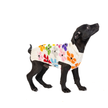 Bloom Dog & Cat Sweater