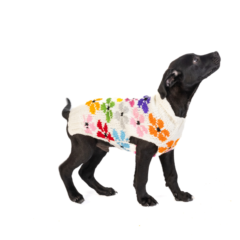 Bloom Dog & Cat Pet Sweater
