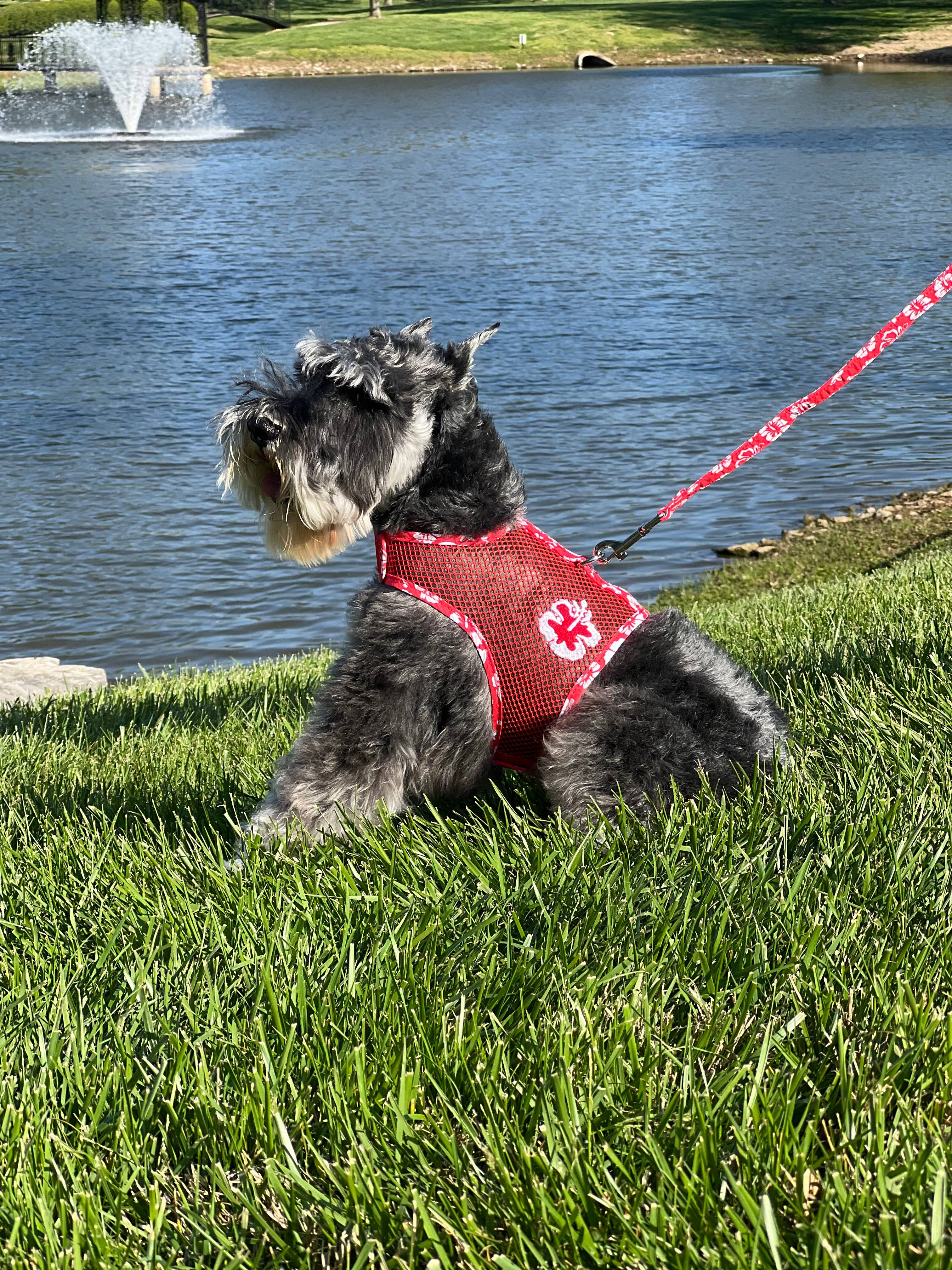 Cool Mesh Dog Harness - Hawaiian Hibiscus Red