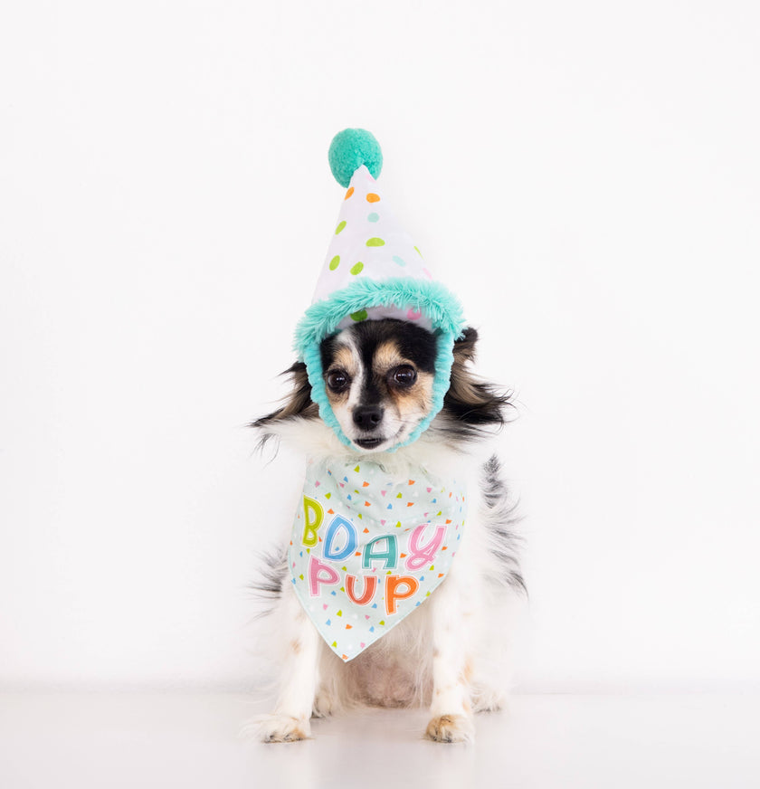 Pearhead Birthday Pup Pet S/M Bandana Hat Set