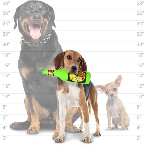 Silly Squeaker Beer Bottle Dos Perros, Squeaky Dog Toy