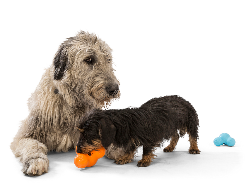Dog Toy Tux® Puzzle Treat-Dispensing Slow Feeder Floating Toy