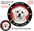 Maltese My Best Friend Circular Magnet