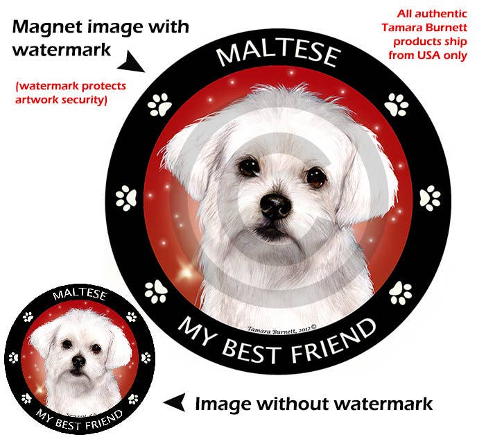 Maltese My Best Friend Circular Magnet