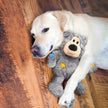 KONG® Wild Knots Bear Dog Rope Toy Assorted Small/Medium
