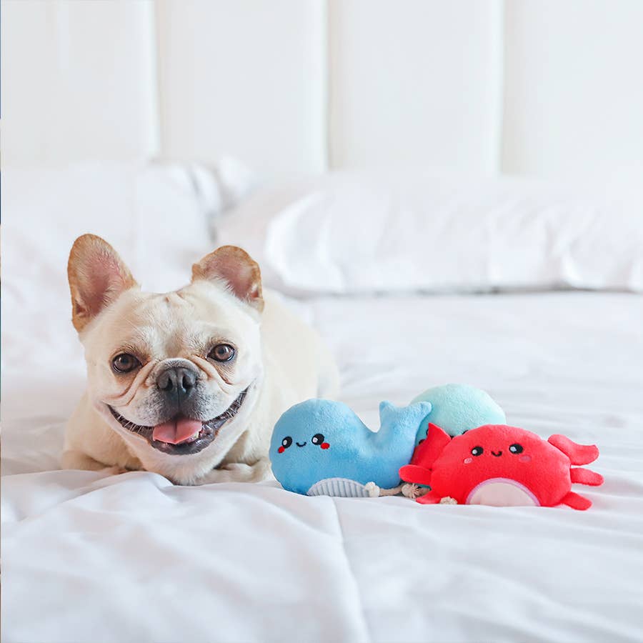 Dog Toy Sea Creatures Crab, Jellyfish and Whale Ocean Plush Toy Set