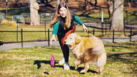 Dog Toy Large Purple Ring GOAT Sport Ring Natural Rubber Toy