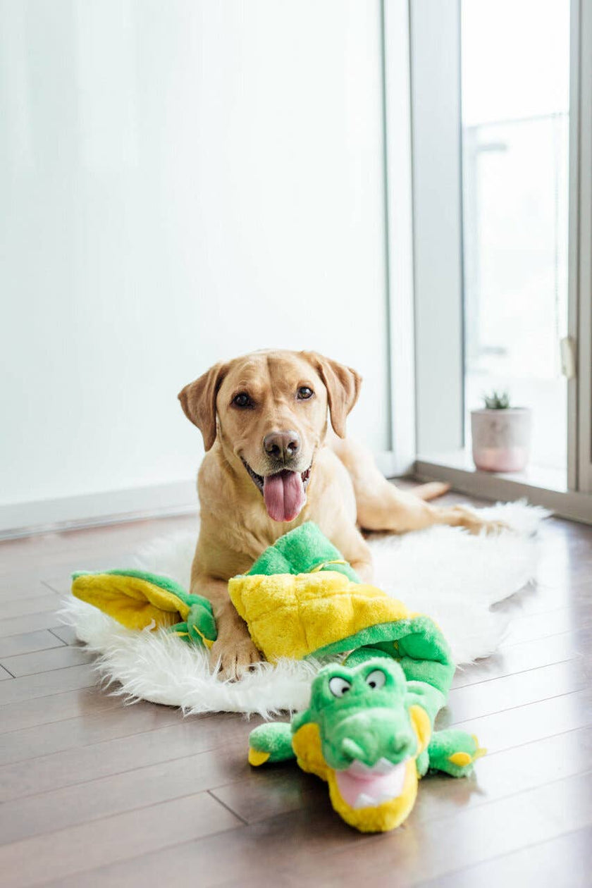 Outward Hound Squeaker Matz Gator Green XXL