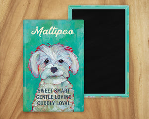 Maltipoo Magnet UD