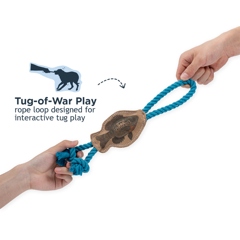 Natural Leather Fish Tug Dog Toy