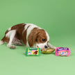 Dog Toy Candy Shaped Eggstra Sweets 3pc Small Dog Plush Toy Set