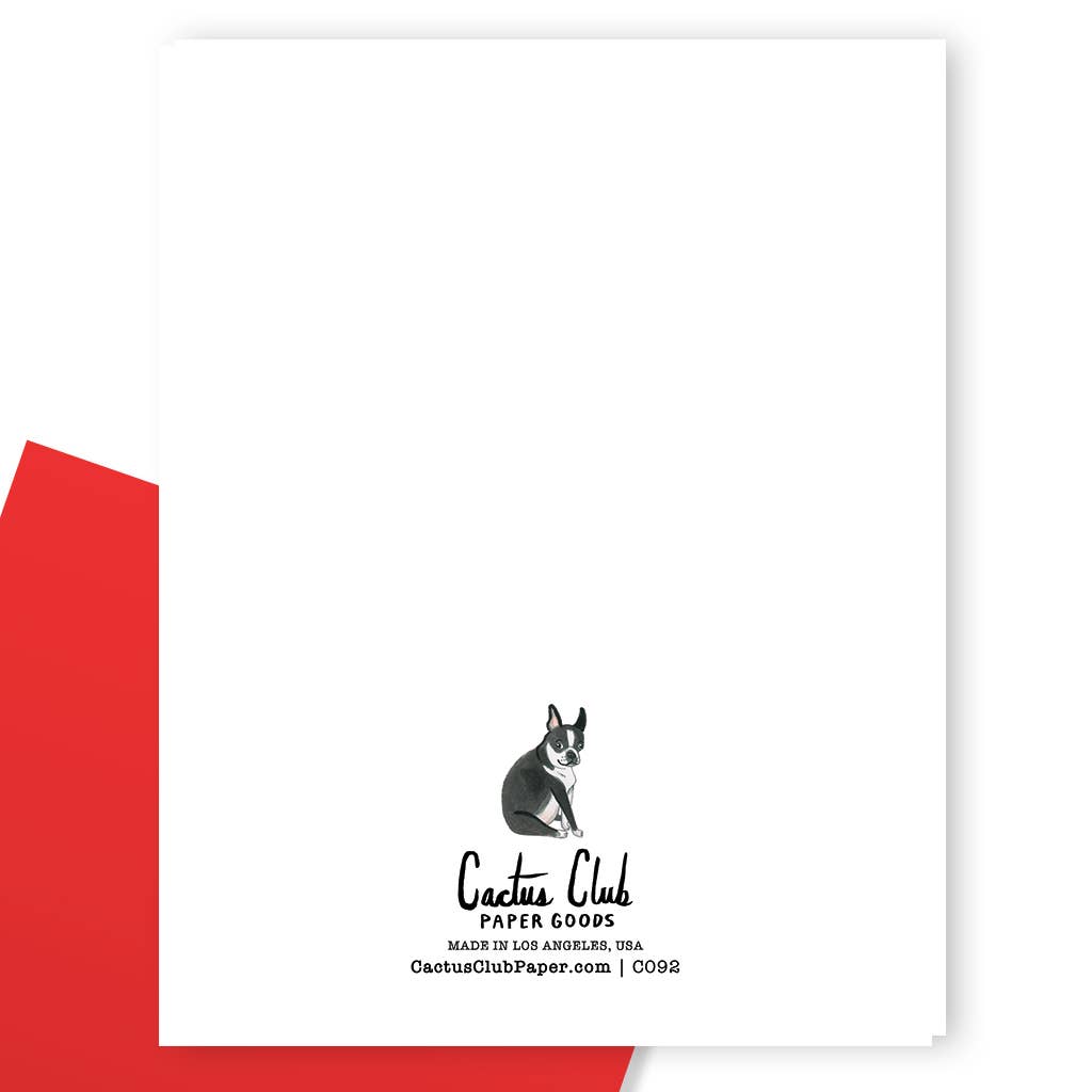 Boston Terrier Greeting Card