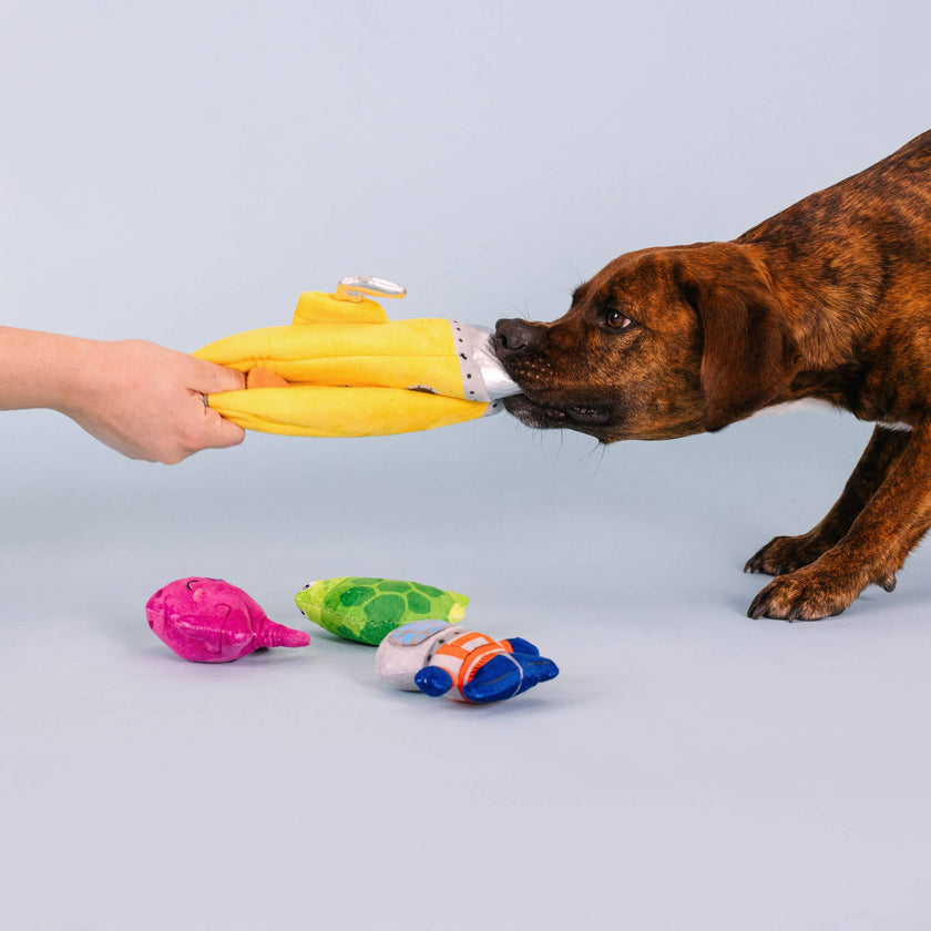 Dog Toy Hide & Seek Into The Deep Set