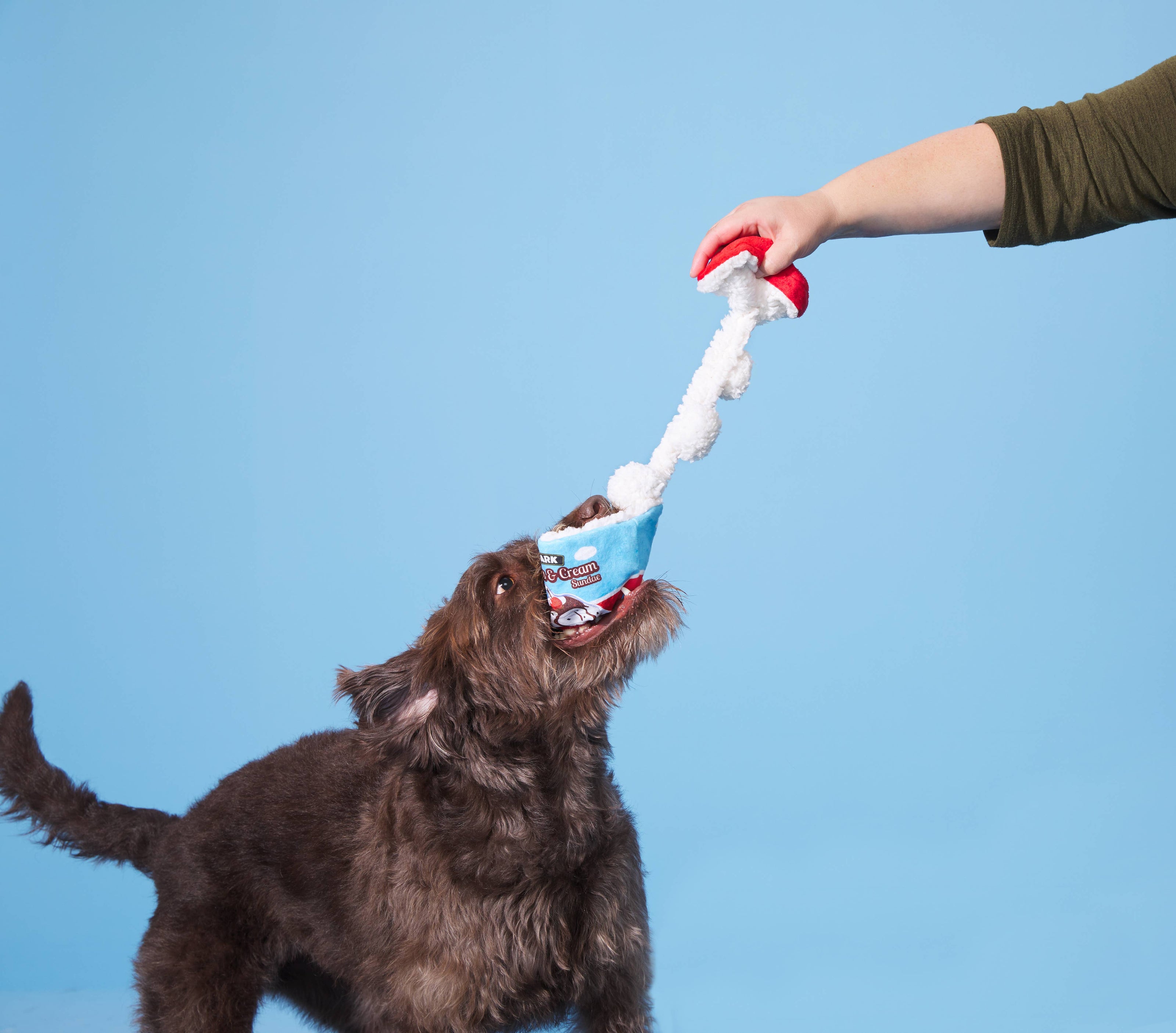 BARK Poopies & Cream Pint Dog Toy