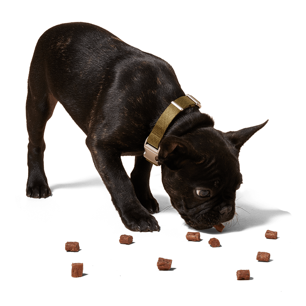 Love Nuggets Dog Treat