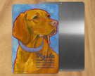 Vizsla  -UD Metal Sign
