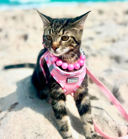 Opal Bubble Gum Pink | Beaded Dog Collar