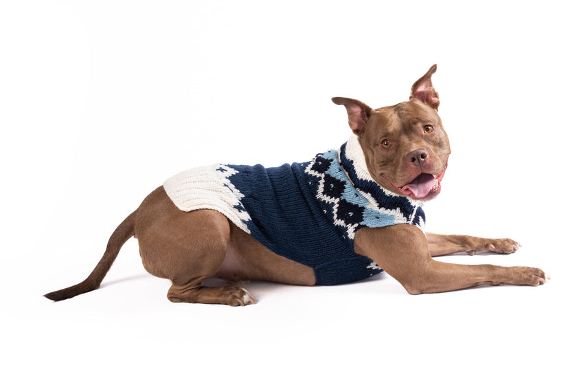 Midnight Ski Bum Dog Pet Sweater