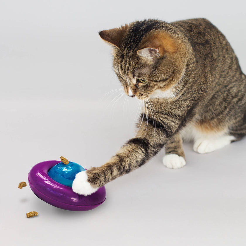 KONG® Infused™ Cat Gyro Toy