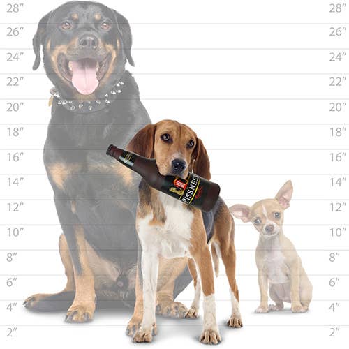 Silly Squeaker Beer Bottle Pissness, Squeaky Novelty Dog Toy