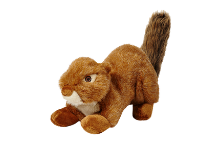 Red Squirrel Squeakerless Tuff Dog Toy
