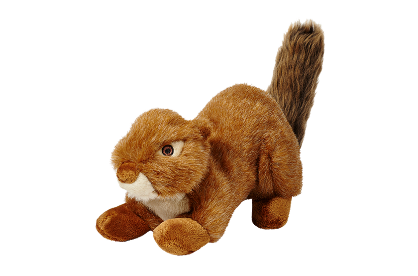 Red Squirrel Squeakerless Tuff Dog Toy
